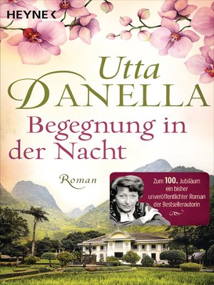 cover image of Begegnung in der Nacht